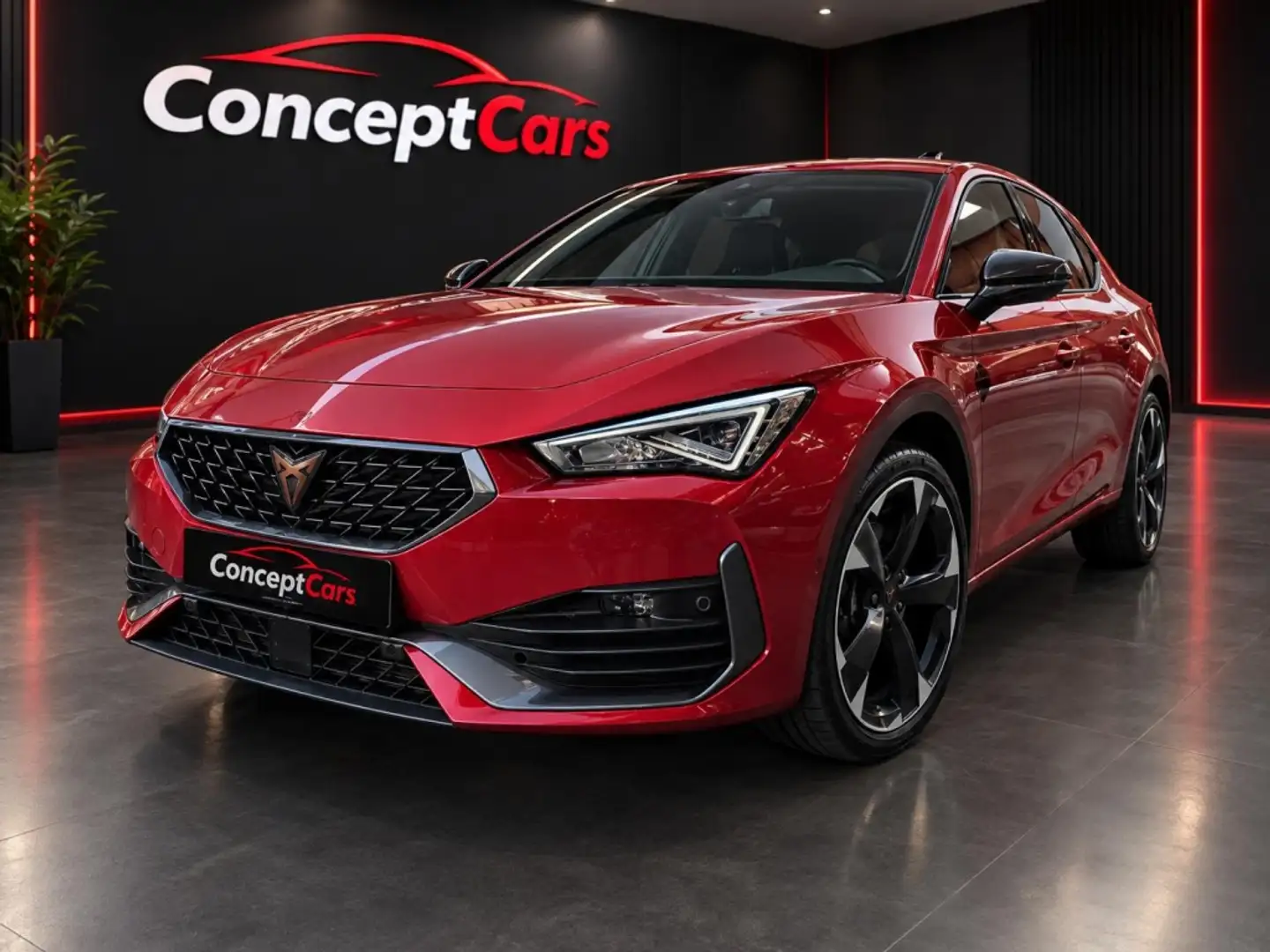 CUPRA Leon 1.5 ETSI DSG 110Kw Rojo - 2