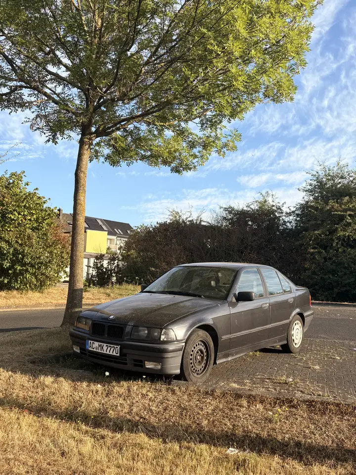 BMW 316