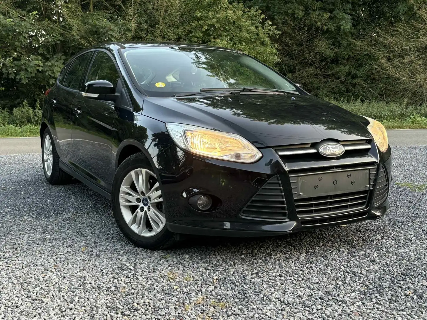 Ford Focus 1.6 TDCi 95 FAP S&S Titanium - 1