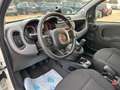 Fiat Panda Waze/KLIMA./CROSS/ALU/ Weiß - thumbnail 5