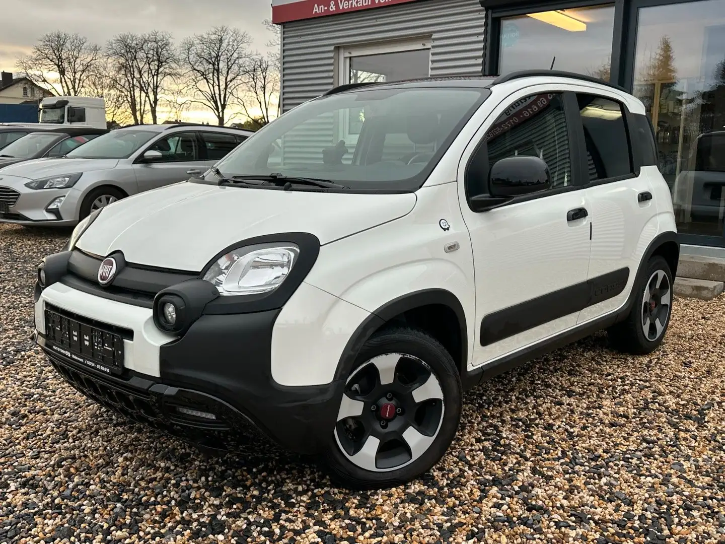 Fiat Panda Waze/KLIMA./CROSS/ALU/ Weiß - 1
