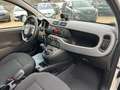 Fiat Panda Waze/KLIMA./CROSS/ALU/ Weiß - thumbnail 7