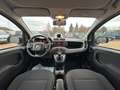 Fiat Panda Waze/KLIMA./CROSS/ALU/ Weiß - thumbnail 6