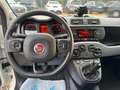 Fiat Panda Waze/KLIMA./CROSS/ALU/ Weiß - thumbnail 9