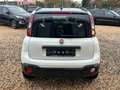 Fiat Panda Waze/KLIMA./CROSS/ALU/ Weiß - thumbnail 16