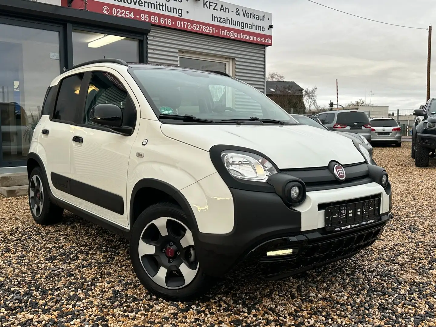 Fiat Panda Waze/KLIMA./CROSS/ALU/ Weiß - 2