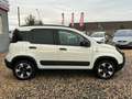 Fiat Panda Waze/KLIMA./CROSS/ALU/ Weiß - thumbnail 19