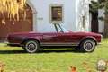 Mercedes-Benz 230 SL "Pagode", in sehr gepflegtem Zustand Rot - thumbnail 6