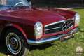 Mercedes-Benz 230 SL "Pagode", in sehr gepflegtem Zustand Rot - thumbnail 4