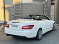 Mercedes-Benz E 250 250 CGI 7G-TRONIC Cabriolet Pack AMG Weiß - thumbnail 10