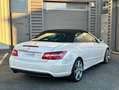 Mercedes-Benz E 250 250 CGI 7G-TRONIC Cabriolet Pack AMG Weiß - thumbnail 11