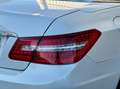 Mercedes-Benz E 250 250 CGI 7G-TRONIC Cabriolet Pack AMG Weiß - thumbnail 30