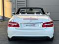 Mercedes-Benz E 250 250 CGI 7G-TRONIC Cabriolet Pack AMG Weiß - thumbnail 9