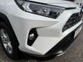 Toyota RAV4 RAV4 2,5 Hybrid  AWD 4 WD Weiß - thumbnail 10