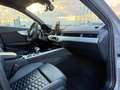 Audi RS4 RS4 AVANT MY23 2.9 TFSI QUATTRO 450CV AUTO LED Grigio - thumbnail 16