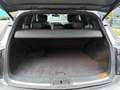 Infiniti FX FX 30d V6 FAP - BVA  S Premium Grau - thumbnail 12