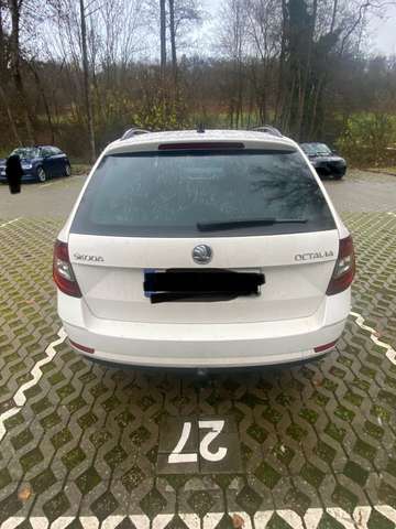 Imagine Skoda Octavia Tour