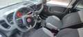Fiat Panda 1.0 firefly hybrid City Life Bianco - thumbnail 8