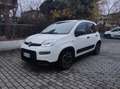 Fiat Panda 1.0 firefly hybrid City Life Bianco - thumbnail 1