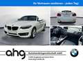 BMW 218 i Cabrio Advantage Aut. Navi Business PDC RFT Wit - thumbnail 1
