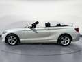 BMW 218 i Cabrio Advantage Aut. Navi Business PDC RFT Wit - thumbnail 3