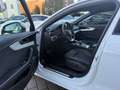 Audi S4 Avant 3.0 TDI quattro/Matrix/B&O/AHK/360°/ACC Weiß - thumbnail 13