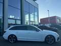 Audi S4 Avant 3.0 TDI quattro/Matrix/B&O/AHK/360°/ACC Weiß - thumbnail 8