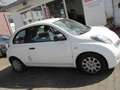 Nissan Micra 1.2 visia 48kW*KLIMA*MOD. 2010 Weiß - thumbnail 10