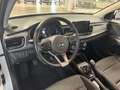 Kia Rio Rio 1.0 t-gdi mhev Style 100cv imt Bianco - thumbnail 16