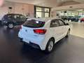 Kia Rio Rio 1.0 t-gdi mhev Style 100cv imt Bianco - thumbnail 7