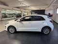 Kia Rio Rio 1.0 t-gdi mhev Style 100cv imt Bianco - thumbnail 4