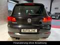 Volkswagen Tiguan Sport & Style *Leder*Pano*Automatik*AHK* Czarny - thumbnail 6
