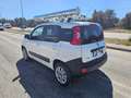 Fiat Panda 1.3 MJT 4x4 Pop Climbing Van 2 posti ALLESTITA OFF Weiß - thumbnail 8