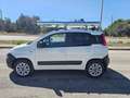 Fiat Panda 1.3 MJT 4x4 Pop Climbing Van 2 posti ALLESTITA OFF Weiß - thumbnail 9