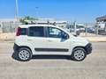 Fiat Panda 1.3 MJT 4x4 Pop Climbing Van 2 posti ALLESTITA OFF Weiß - thumbnail 5