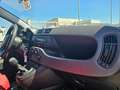 Fiat Panda 1.3 MJT 4x4 Pop Climbing Van 2 posti ALLESTITA OFF Weiß - thumbnail 13
