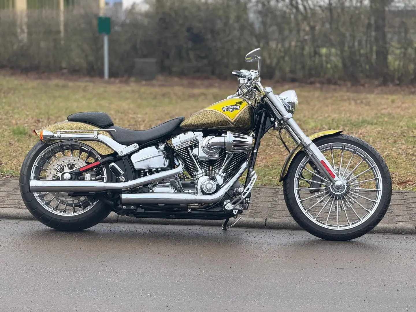 Harley-Davidson CVO Breakout 110- Limited Gold - 1