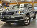 Skoda Karoq TSI Ambition 1.Hand mit Kamera SHZ AppleCP Grau - thumbnail 1