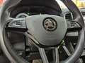 Skoda Karoq TSI Ambition 1.Hand mit Kamera SHZ AppleCP Grau - thumbnail 14