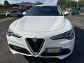 Alfa Romeo Stelvio 2.2 Turbodiesel 190 CV AT8 Q4 Business Blanc - thumbnail 9