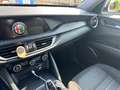 Alfa Romeo Stelvio 2.2 Turbodiesel 190 CV AT8 Q4 Business Blanc - thumbnail 10