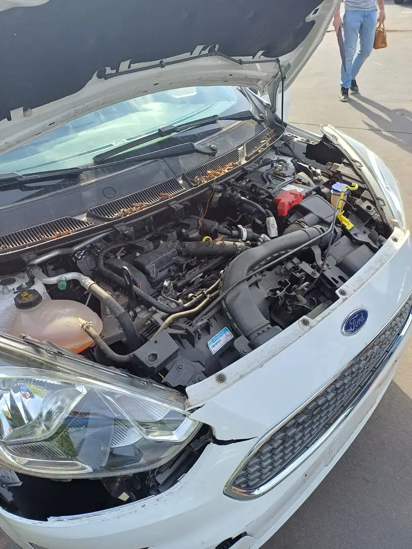 Ford Ka/Ka+ Ka+ 1.2 S Blanc - 1