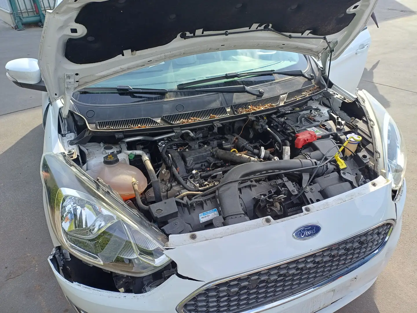 Ford Ka/Ka+ Ka+ 1.2 S Blanc - 2
