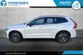 Volvo XC60 B5 AWD Plus Dark Weiß - thumbnail 2