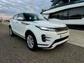 Land Rover Range Rover Evoque Range Rover Evoque 2.0D MHEV R-Dynamic S AWD 150 Blanco - thumbnail 14