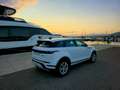 Land Rover Range Rover Evoque Range Rover Evoque 2.0D MHEV R-Dynamic S AWD 150 Blanco - thumbnail 6