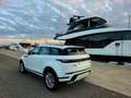 Land Rover Range Rover Evoque Range Rover Evoque 2.0D MHEV R-Dynamic S AWD 150 Blanco - thumbnail 5