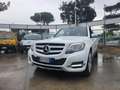 Mercedes-Benz GLK 220 CDI 4Matic Sport Weiß - thumbnail 3