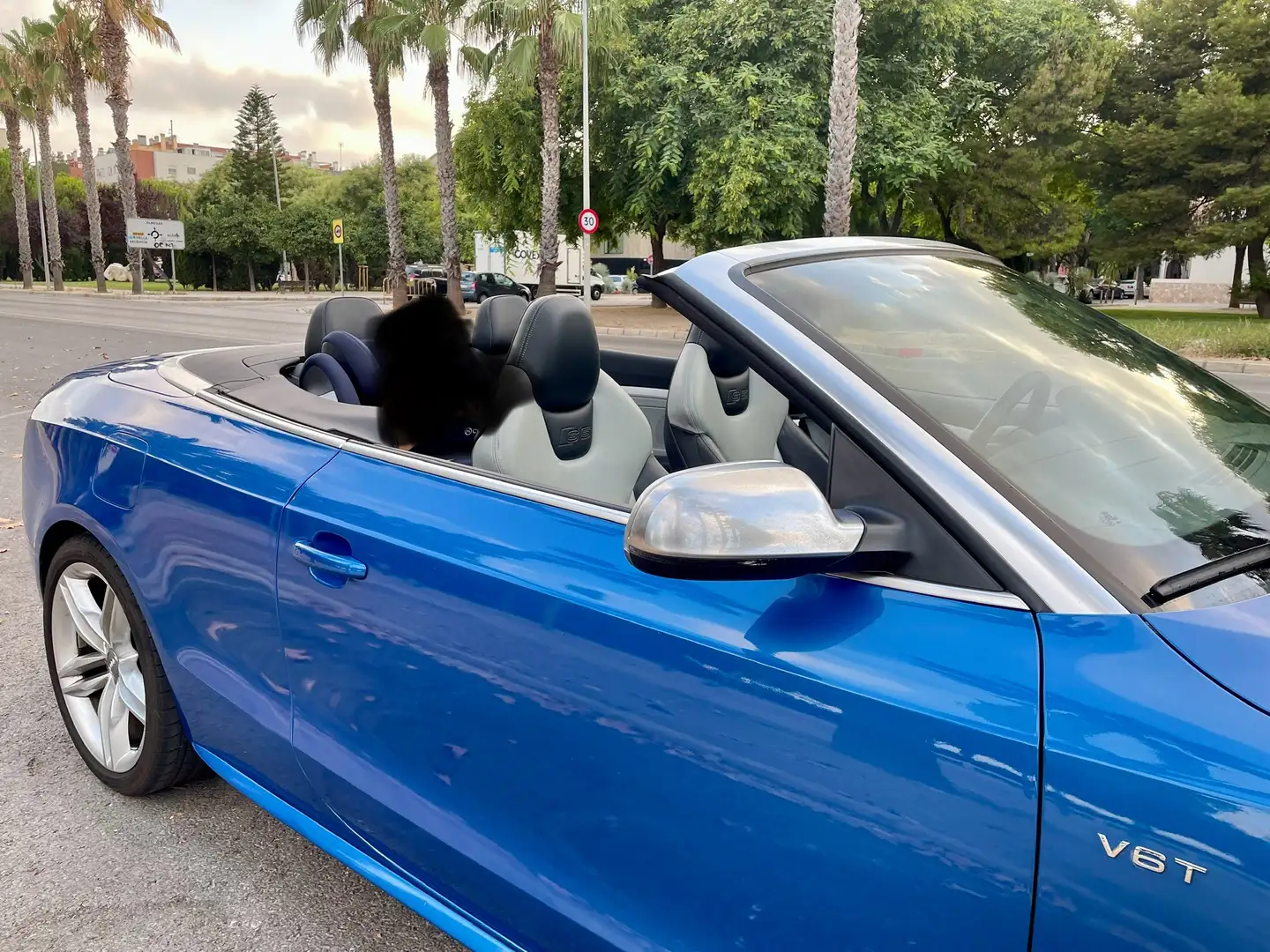 Audi S5 Cabrio 3.0 TFSI S-Tronic - 2