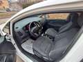 Kia Rio Rio III 2011 5p 1.2 Cool eco Gpl Bianco - thumbnail 13